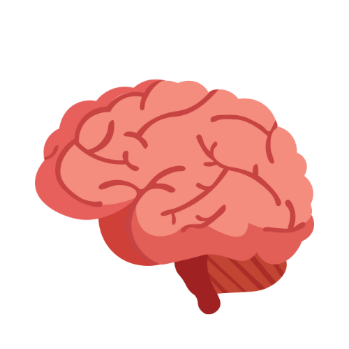 cerebro